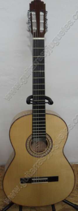 Guitarra de maple modelo GRO fotografía 1